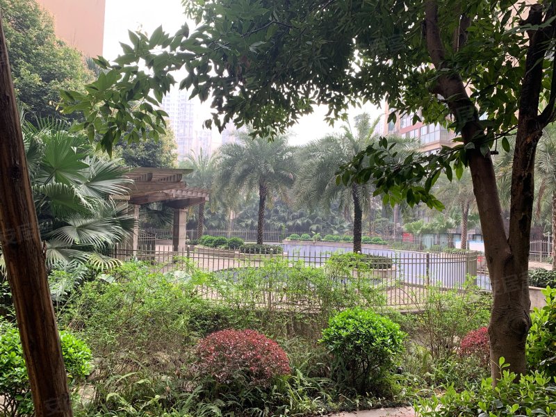 金色春天,岷江大道中段888号-眉山金色春天二手房,租房,房价-眉山安居