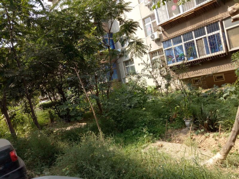 西三庄(南区),蓝翼路18号-石家庄西三庄(南区)二手房,租房,房价