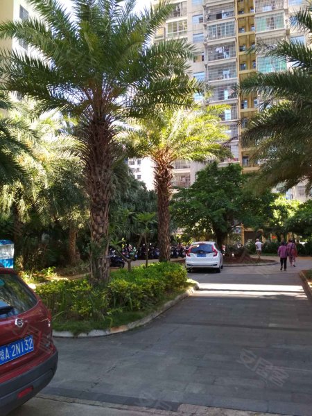 水岸星城a小区,海甸二东路4号-海口水岸星城a小区二手房,租房,房价