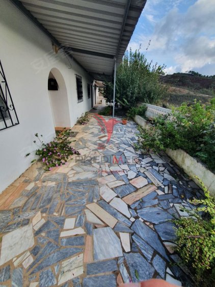 葡萄牙约¥268万昆塔/蒙特阿连特亚诺V3二手房庄园图片