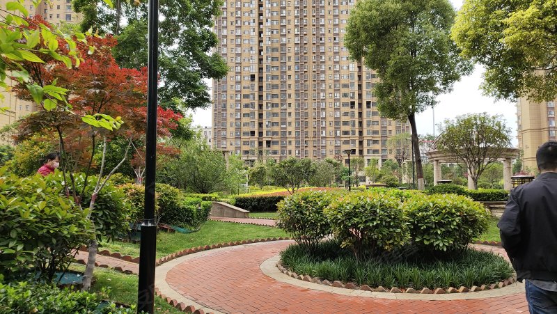 常绿林溪谷(湛河)