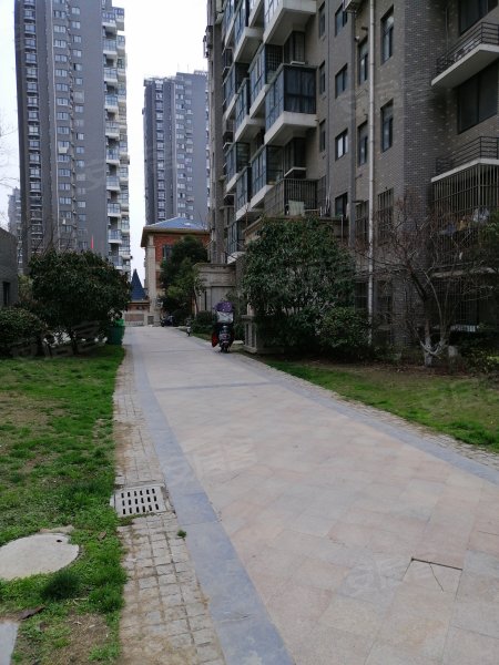 天山绿洲三期a区,淮海西路268号-徐州天山绿洲三期a区二手房,租房