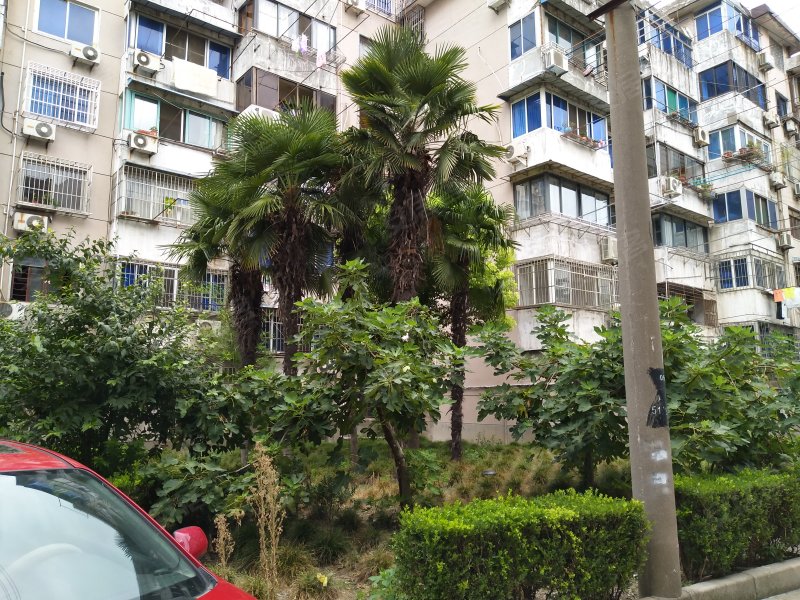 北大街105弄小区 