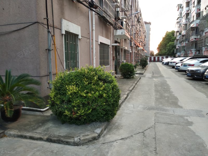 梅花路169弄小区 