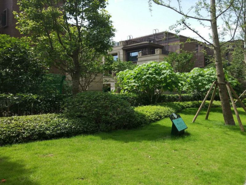 金科廊桥水乡美丽墅(别墅)