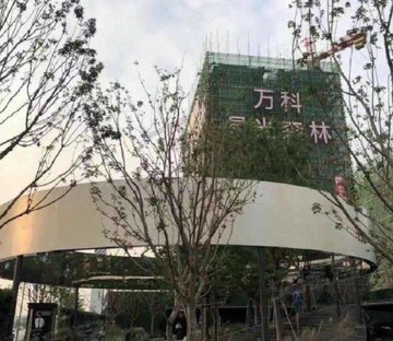 万科星光森林