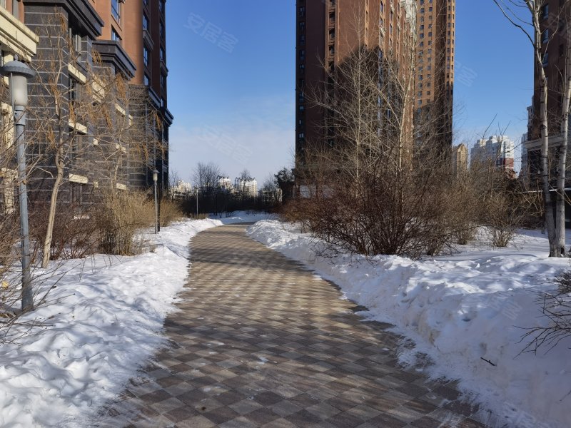 玫瑰湾(东区),兴江路696号-哈尔滨玫瑰湾(东区)二手房,租房,房价