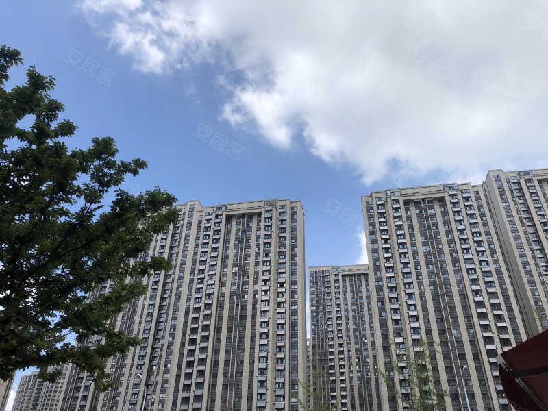 万科森林公园御庭