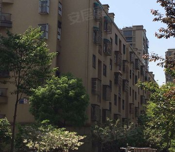 九堡沿江小区图片