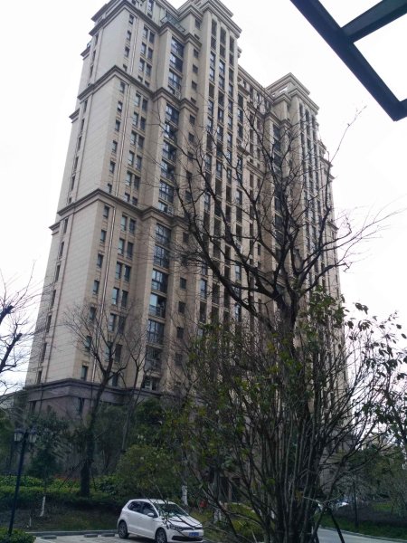 安亭瑞仕华庭(公寓住宅)