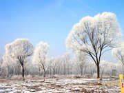 双口镇小区图片