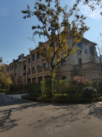 白鹭金岸别墅中间户,毛坯,493万