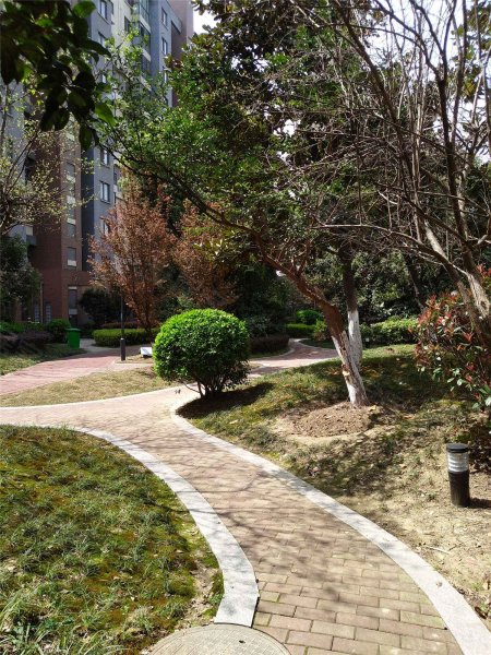 天鹅湖花园(b区)