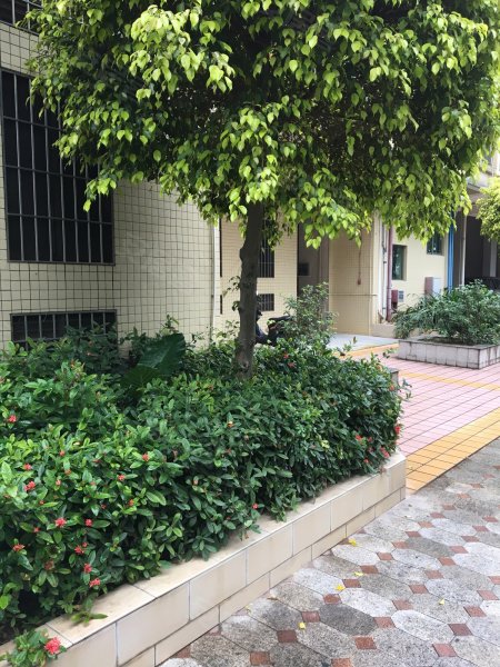 金海湾花园(蓬江),港口二路166号-珠海金海湾花园(蓬江)二手房,租房