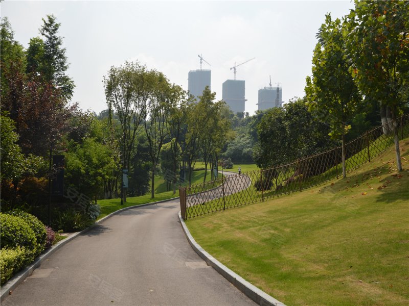 联发瞰青源墅,金开大道1668号-重庆联发瞰青源墅二手房,租房,房价