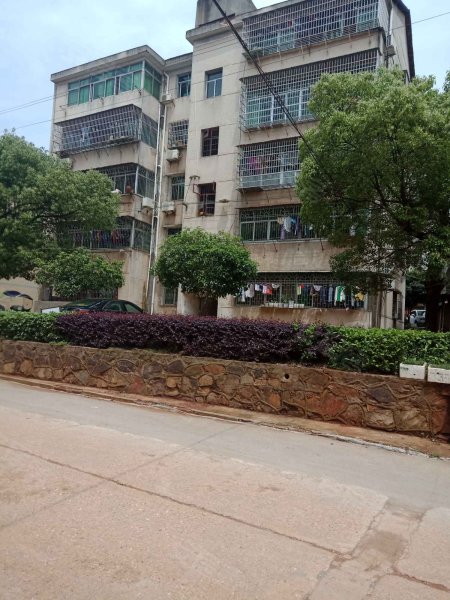 探索郴州新房市场：新生活即将起航