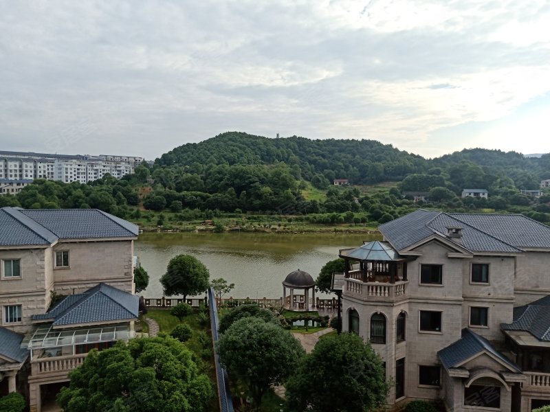 华团南湖花园别墅