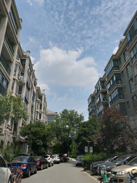 金都华庭(四期),砀山路3088号-合肥金都华庭(四期)二手房,租房,房价