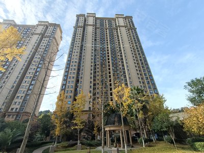 月星国际城,城东大道92号 - 宜昌月星国际城二手房,租房,房价-宜昌