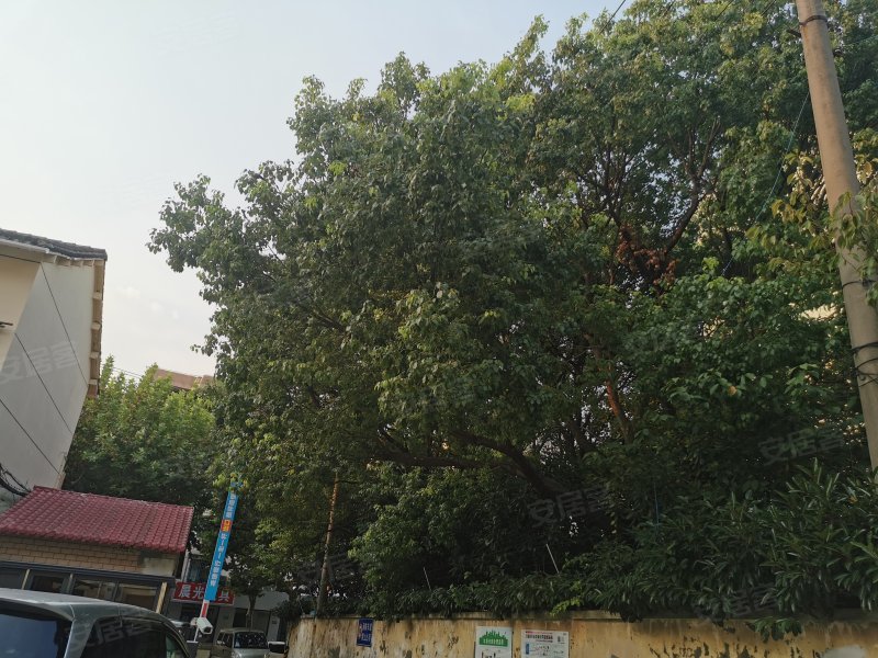 莘庄小西街小区 