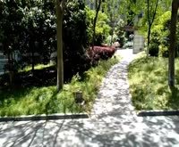 金领国际(公寓住宅) 