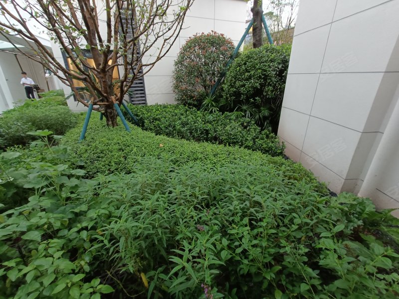 邦泰理想城,七河路-达州邦泰理想城二手房,租房,房价-达州安居客