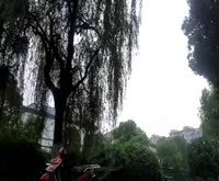 练祁佳城梧桐坊