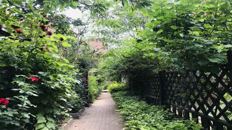 金地格林小镇(大兴)