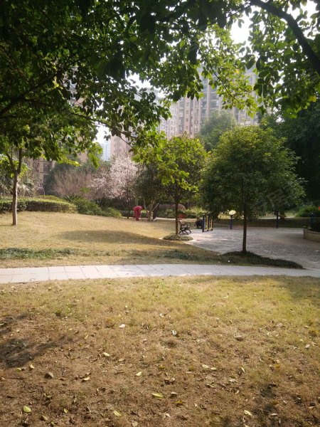 昌龙阳光尚城,人民大道755号-重庆昌龙阳光尚城二手房,租房,房价-重庆