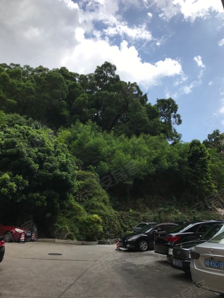 翠景山庄,翠竹北路30号-深圳翠景山庄二手房,租房,房价-深圳安居客