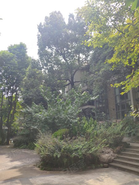 正扬南山别院,南山公园路168号-重庆正扬南山别院二手房,租房,房价