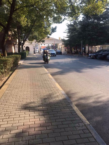 大上海国际花园伊甸园 