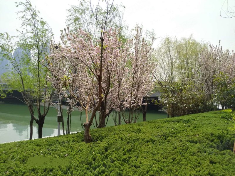 双河湾,龙湖外环南路6号-郑州双河湾二手房,租房,房价-郑州安居客