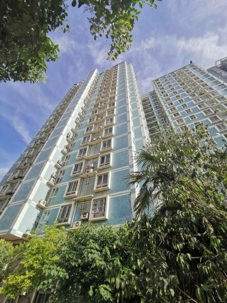 丽苑小区,太乙路192号-西安丽苑小区二手房,租房,房价-西安安居客