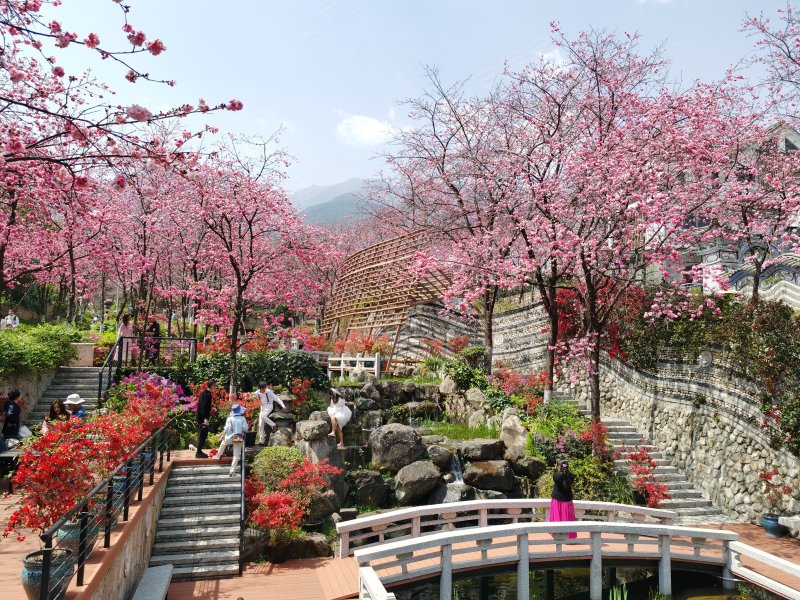 大理山水间