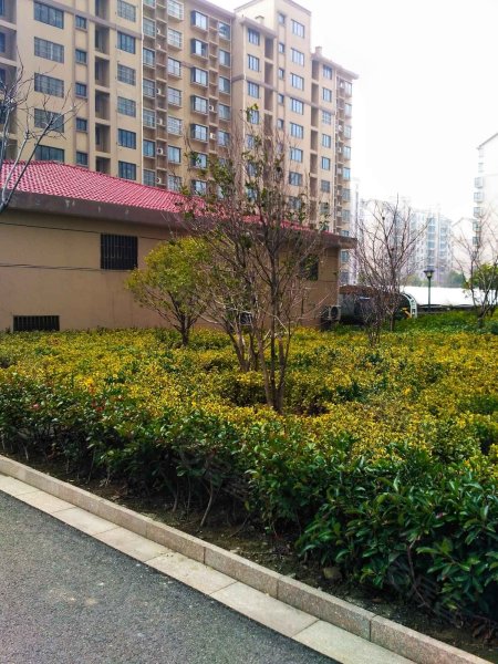 康居新城(东苑),白野线-泰州康居新城(东苑)二手房,租房,房价-泰州