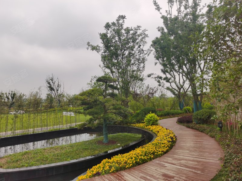 华侨城欢乐明湖,滁州大道607号-三亚华侨城欢乐明湖二手房,租房,房价