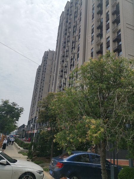 郑东龙湖一号,杨金路-郑州郑东龙湖一号二手房,租房,房价-郑州安居客