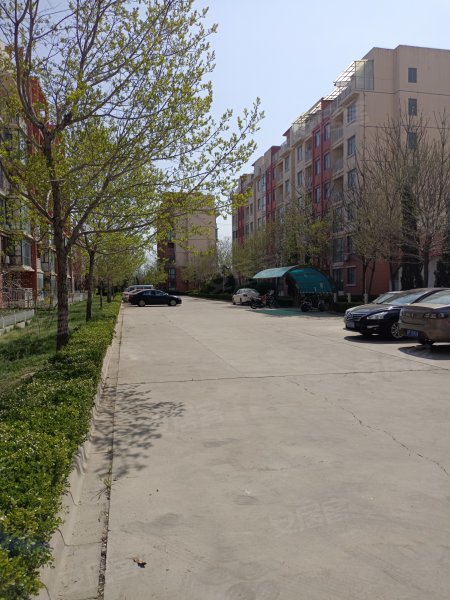 世纪花园(四期),南山中路-烟台世纪花园(四期)二手房,租房,房价-烟台