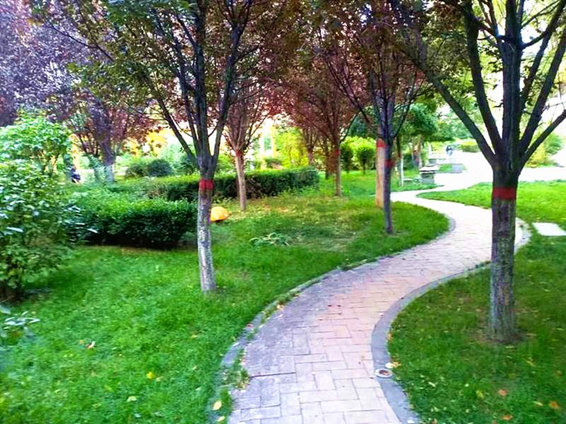 麒麟花园,昆仑路4号-西宁麒麟花园二手房,租房,房价-西宁安居客