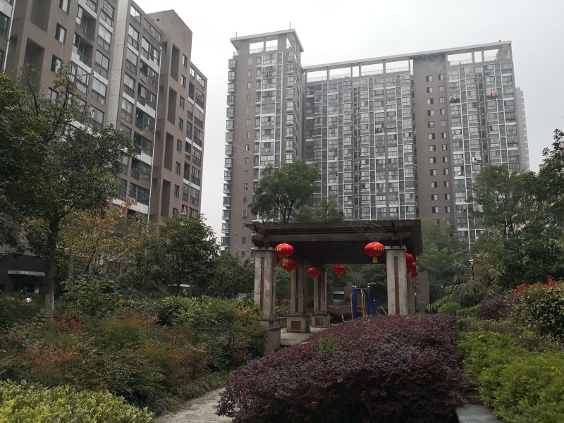 大溪地天泽轩,黄山路588号-合肥大溪地天泽轩二手房,租房,房价-合肥