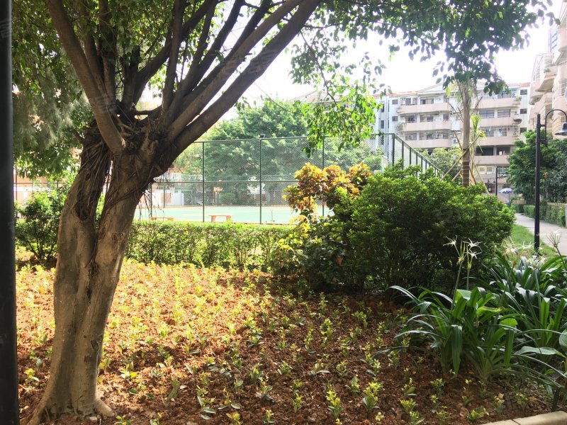 丽景花园(塘厦)