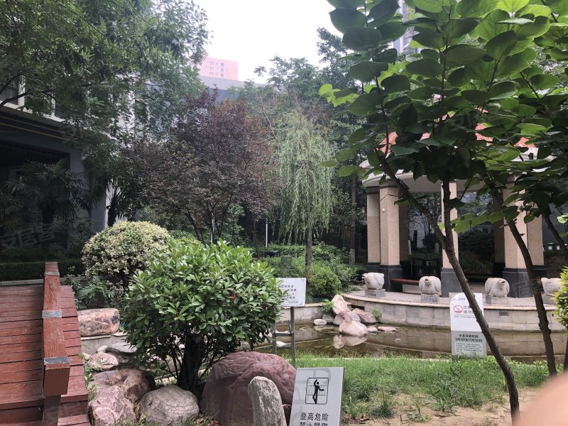 教育局家属院,弓庄南街220号-郑州教育局家属院二手房,租房,房价-郑州