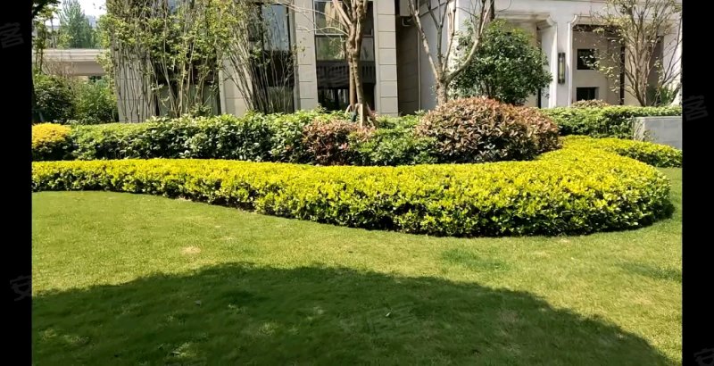 碧桂园摩卡,金磁路12号-重庆碧桂园摩卡二手房,租房,房价-重庆安居客