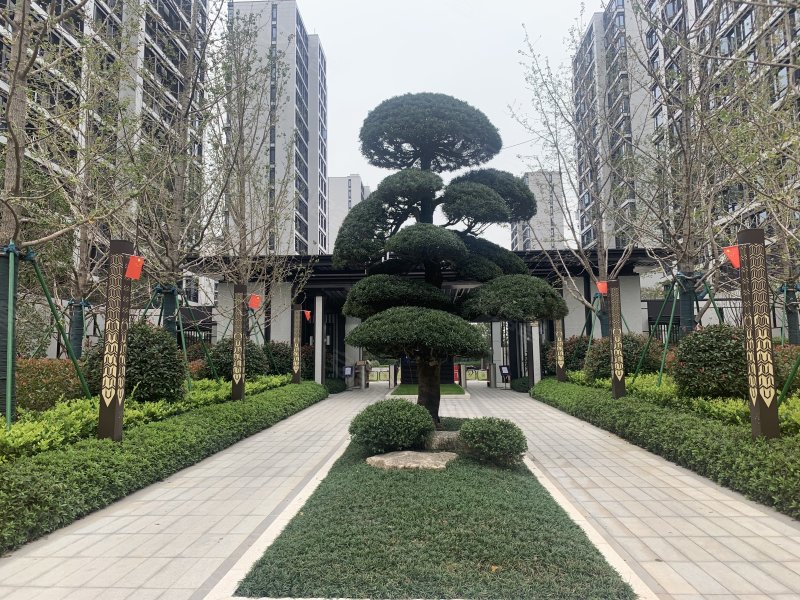 美的融信君兰江山,李渔东路-金华美的融信君兰江山二手房,租房,房价