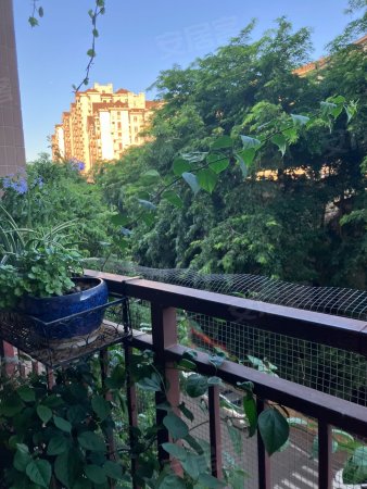 东莞房产网>东莞二手房>虎门二手房>树田二手房>丰泰裕田花园>