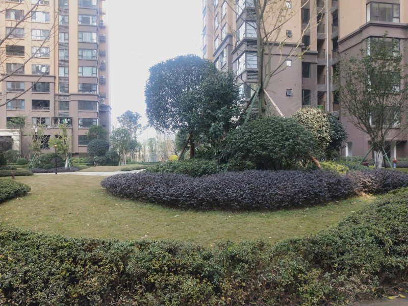 鸿通凤凰国际,三苏路,近瑞祥路-乐山鸿通凤凰国际二手房,租房,房价