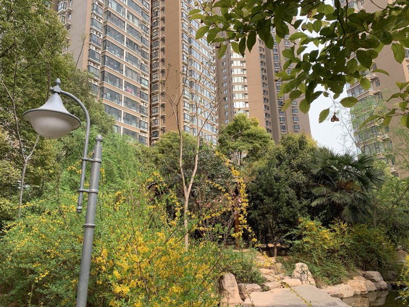 富地蓝泊湾,创业路37号-洛阳富地蓝泊湾二手房,租房,房价-洛阳安居客