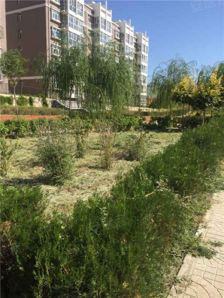 新东亚城市花园,七里山北街2号-张家口新东亚城市花园二手房,租房