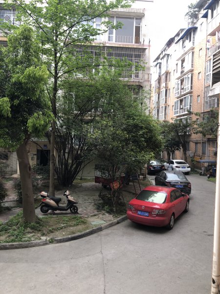 新科花园鸟语花香